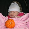 Pumpkin Patch Richardsons in Dunnville